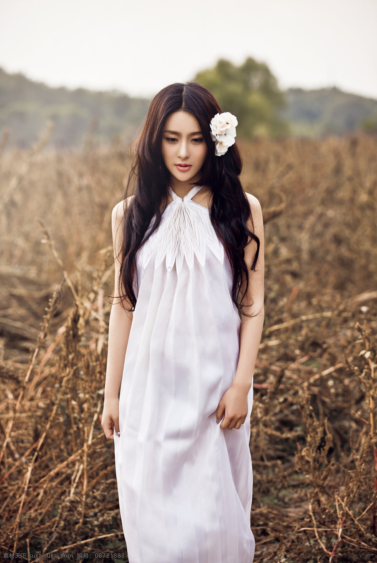 贾青 明星 美女 演员 明星偶像 人物图库