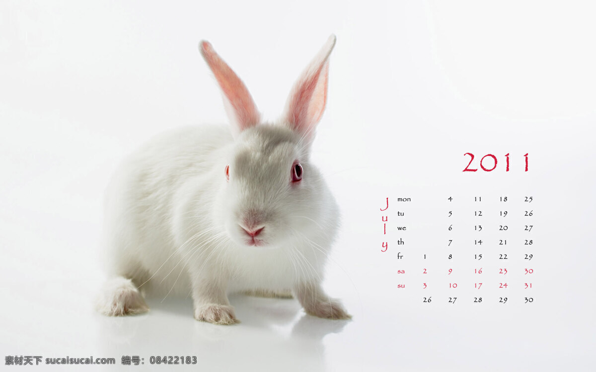 2011 兔年 挂历 七月 生活百科 兔子 psd源文件