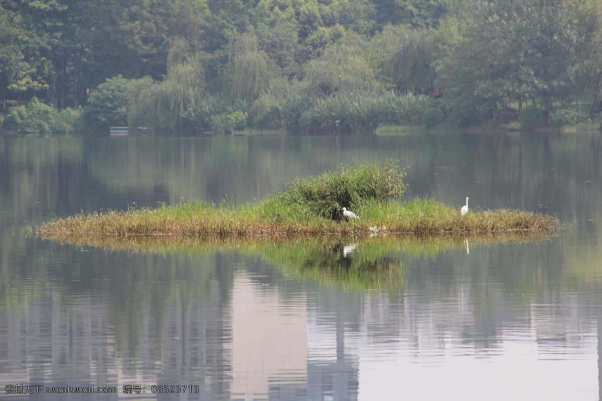湖心洲 成都 景观 公园 东湖 人工湿地 沙洲 自然风景 旅游摄影 eos 60d