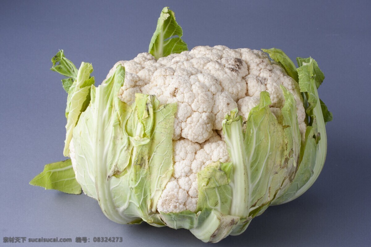 花椰菜 西兰花 青花菜 椰菜 菜花 花菜 植物 食物 食品 绿色食品 健康蔬菜 蔬菜 菜 农场 有机蔬菜 果蔬 绿色蔬菜 农产品 农副产品 椰菜花贴图 椰菜花背景 椰菜花壁纸 椰菜花摆拍 生物世界