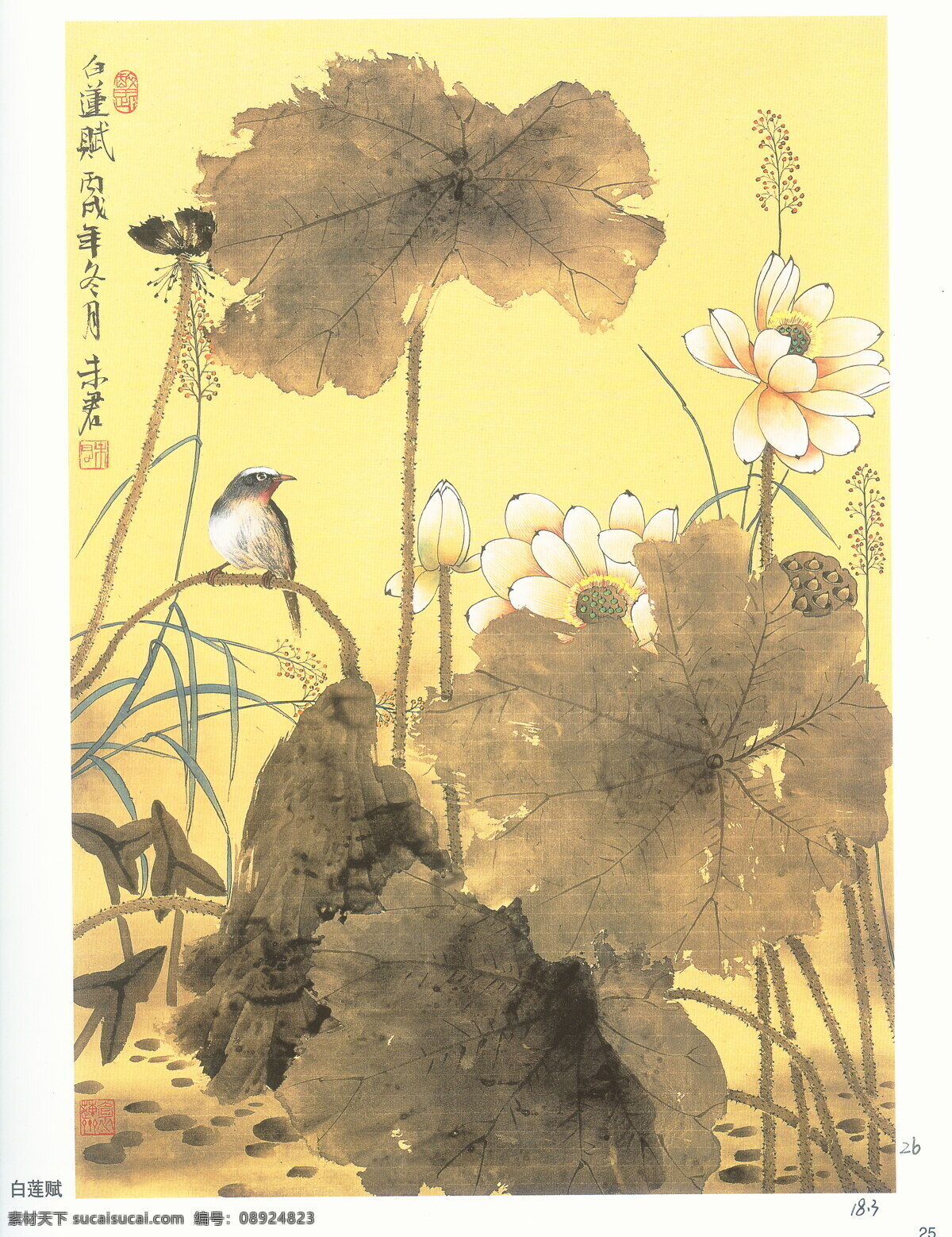 莲赋 莲花 草 莲蓬 荷叶 文化艺术 绘画书法 工笔画 设计图库