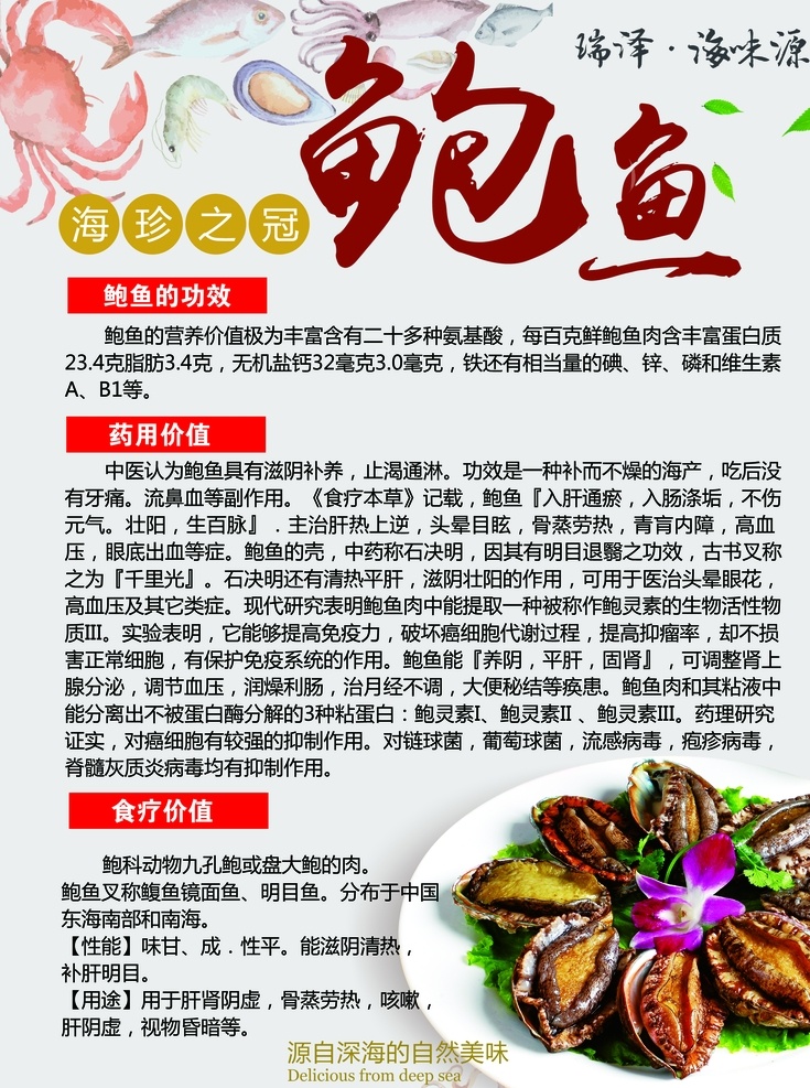 海鲜展板系列 鲍鱼 海鲜 展板 海报 鲍鱼的营养 实力海鲜 绿叶 我的ps 展板模板
