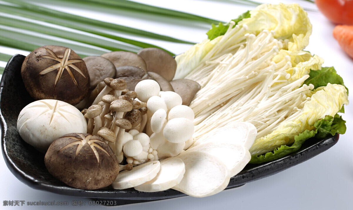金针菇 蘑菇 菌菇 健康营养蔬菜 素菜 菜品类 餐饮美食 食物原料