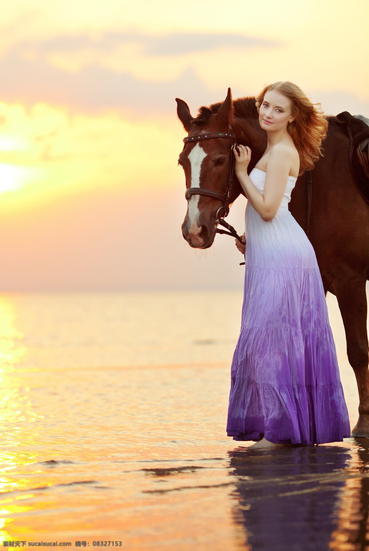欧美美女 马 高清 裙装美女 海边 紫色 裙装 美女