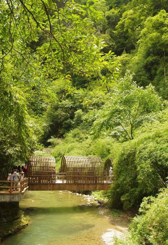 溪水和竹桥 溪水 竹桥 黑山谷 重庆 重庆风景 山水风景 自然景观