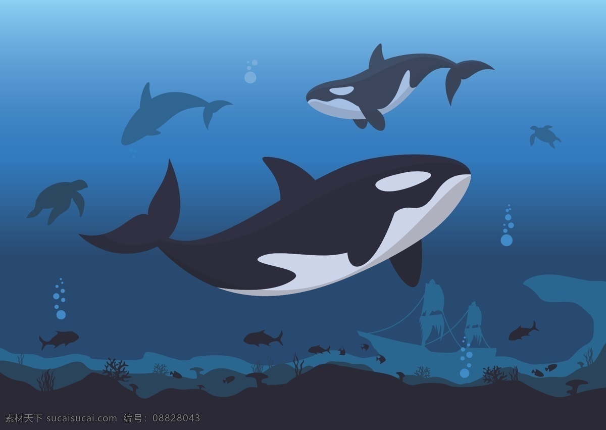 卡通鲸鱼 鲸鱼 大鱼 蓝鲸 飞鲸 鱼类 生活 海洋生物 鲸 卡通动物 生物世界