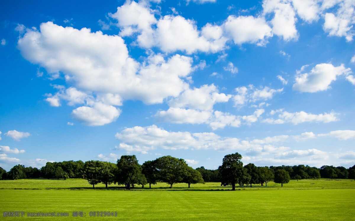 高清 蓝天 白云 草地 风景 绿色草地 树木