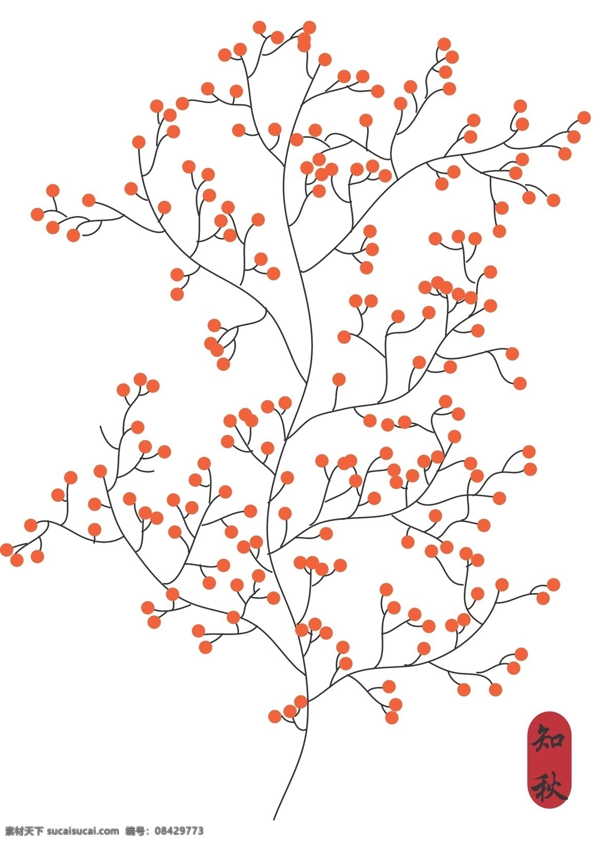 秋天 红果 插画 知秋 秋 秋季