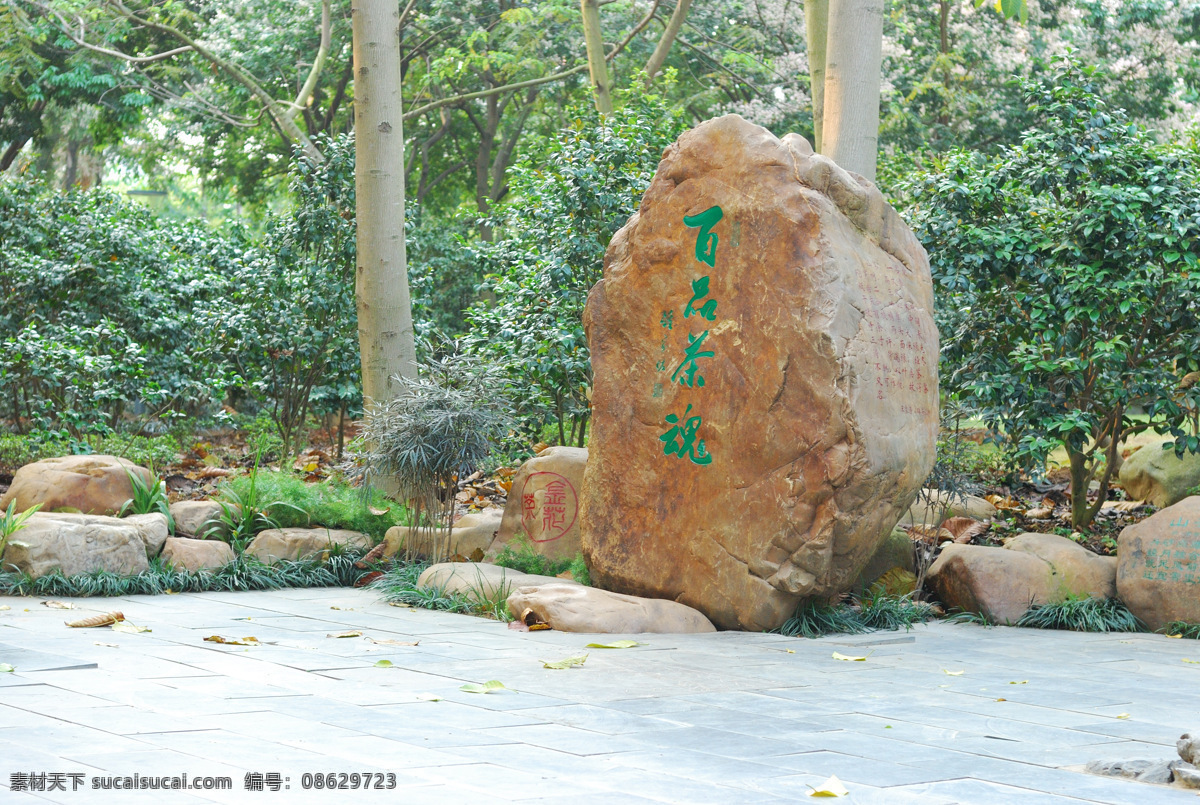 园林 石雕 图 奇石 　 美景 茶文化 石 雕刻 装饰素材 印章 图案
