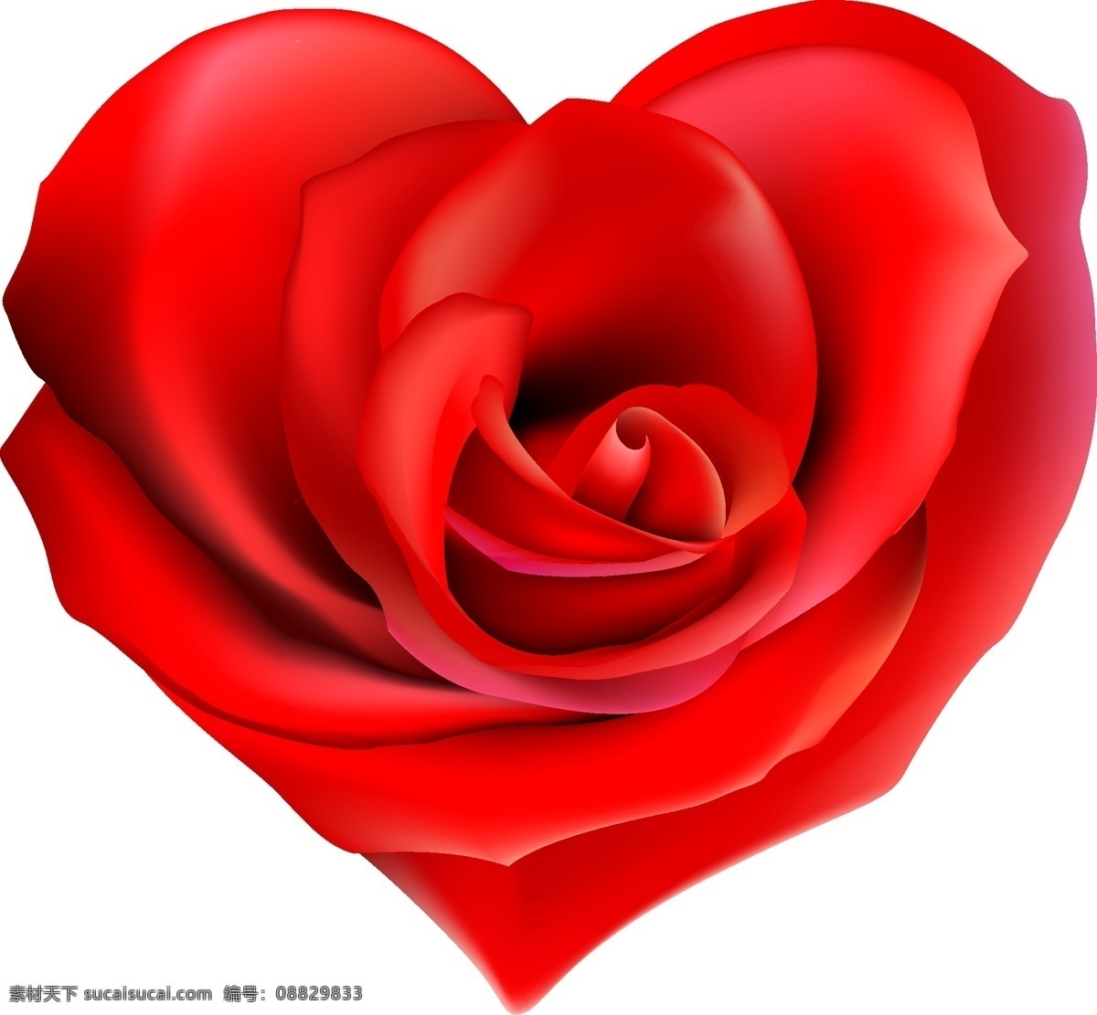 心 型 玫瑰花 爱情 爱心 心型 矢量图 生物世界