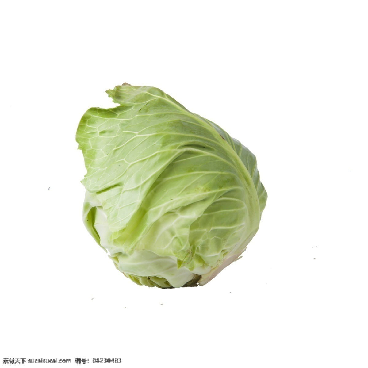 一个包白菜 白菜 蔬菜 实物 实物免扣 实物下载