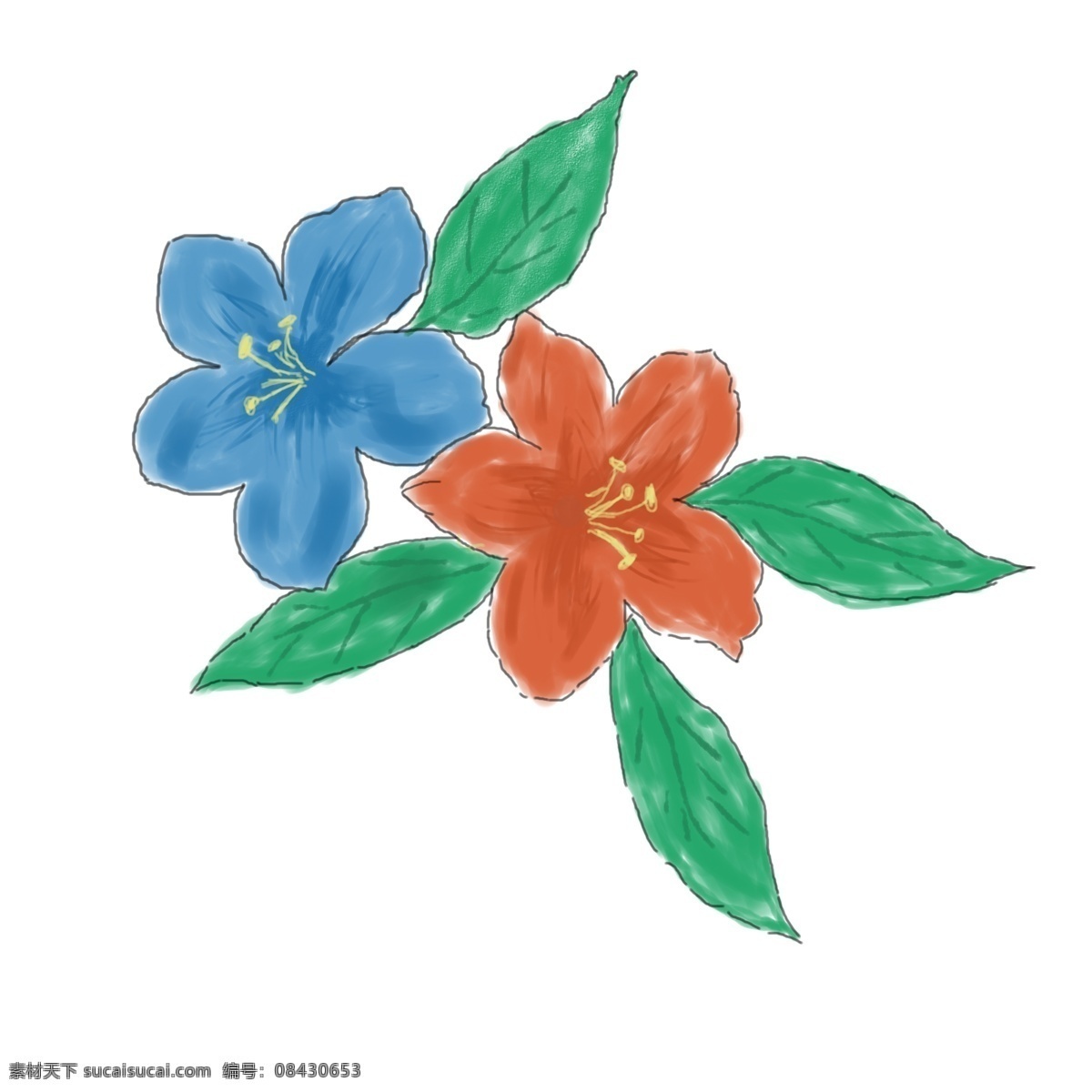 手绘 插画 花草 植物 手绘插画素材 手绘花草素材 手绘植物素材 插画花草素材 花草植物素材