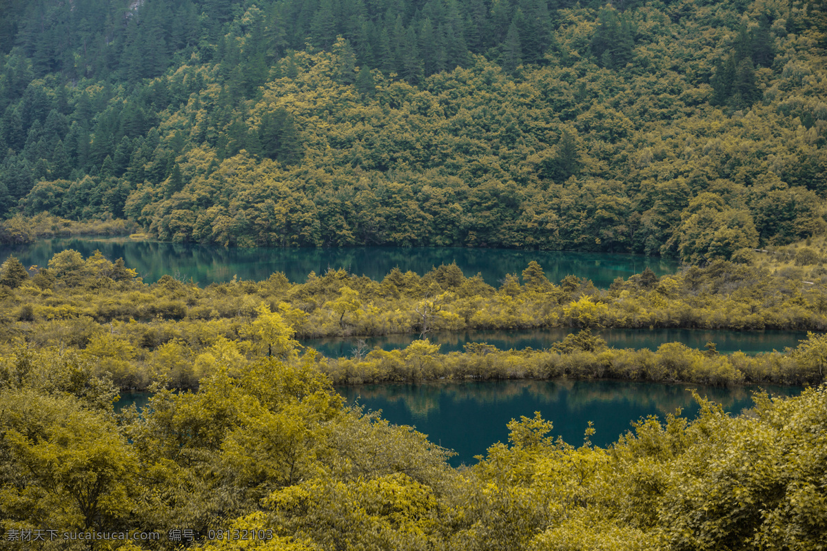 九寨沟风光 四川 九寨沟 湖泊 绿水 绿树 自然风景 自然景观