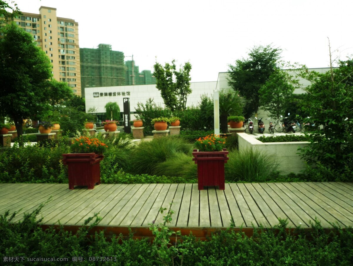 园林内景 花盆 树木 花草 木板 风景摄影 自然风景 自然景观