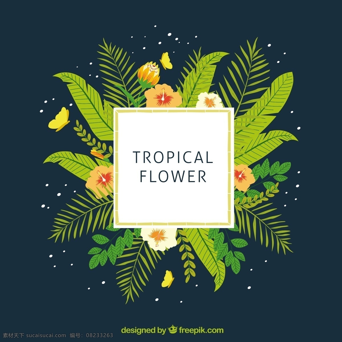 热带 标签 异国 情调 绿叶 花卉 树 自然 绿化 树叶 植物 棕榈树 装饰 棕榈 花卉饰品 观赏 白色