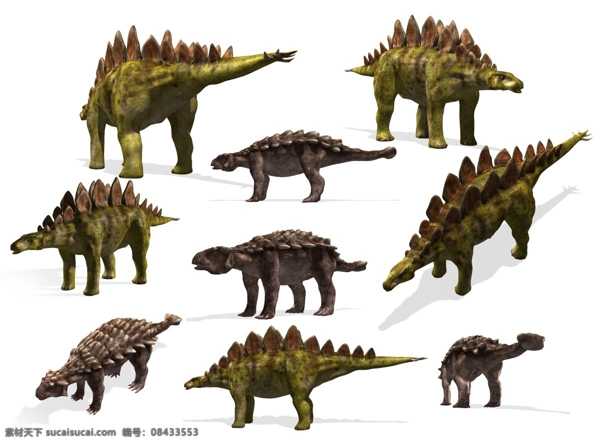 不同 角度 剑龙 恐龙 3d动画 侏罗纪 侏罗纪公园 陆地动物 生物世界