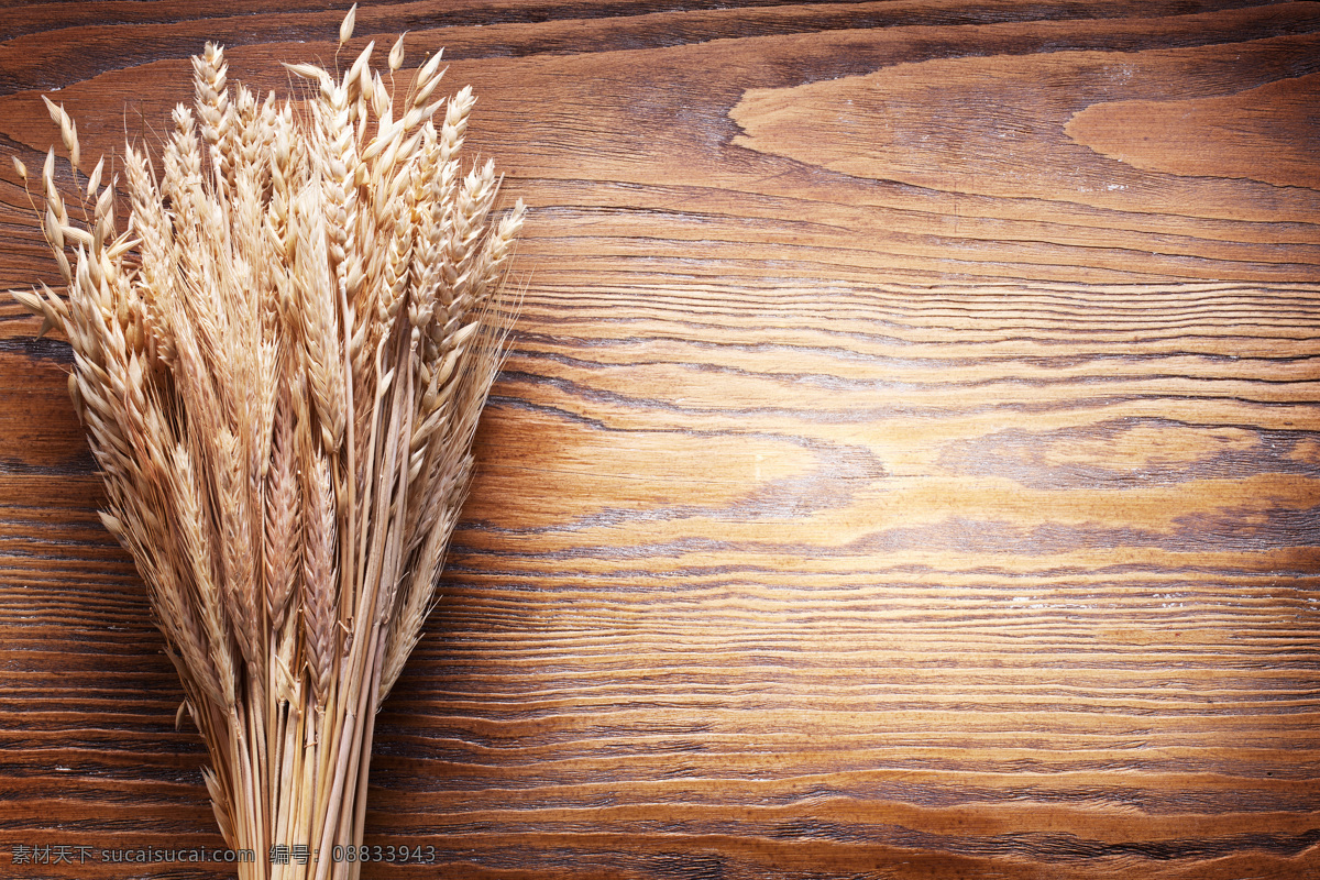 木板 上 麦穗 小麦 麦子 粮食 木板背景 木纹背景 其他类别 生活百科