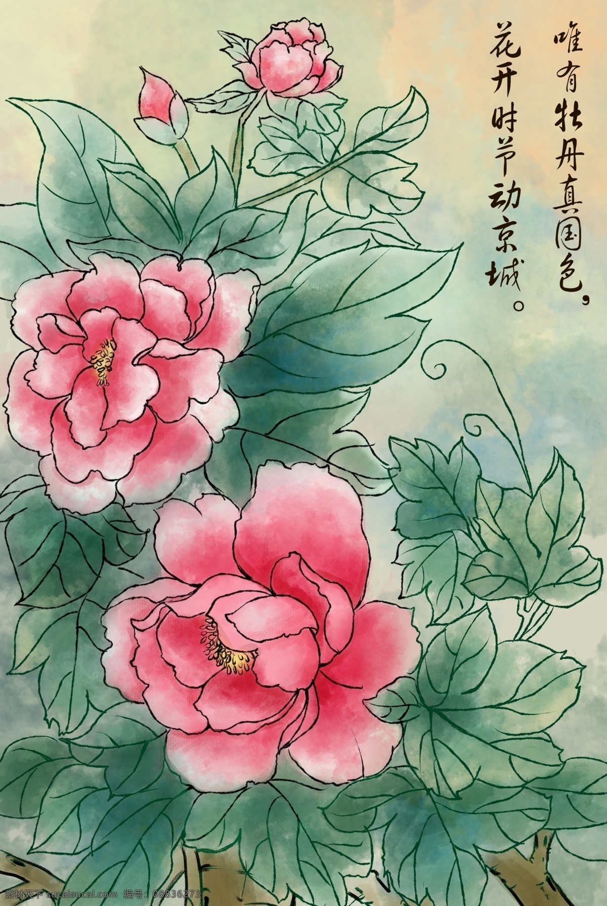 手绘牡丹花 古典手绘 中国风 喜庆 花鸟 插画 梅花 干杆 手绘插画 十字锈 松树