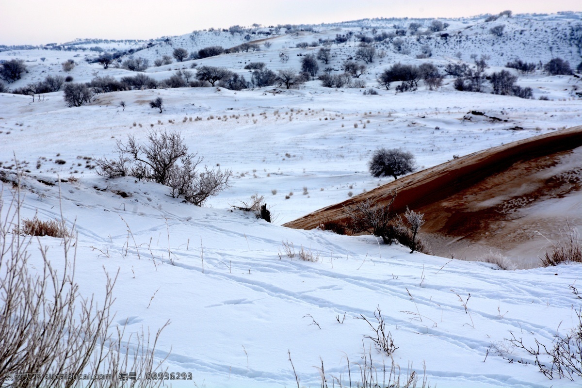 雪后的山坡 大雪 山坡 积雪 结冰 枯草 荒凉 内蒙古 克什克腾旗 山川风景 自然景观 自然风景