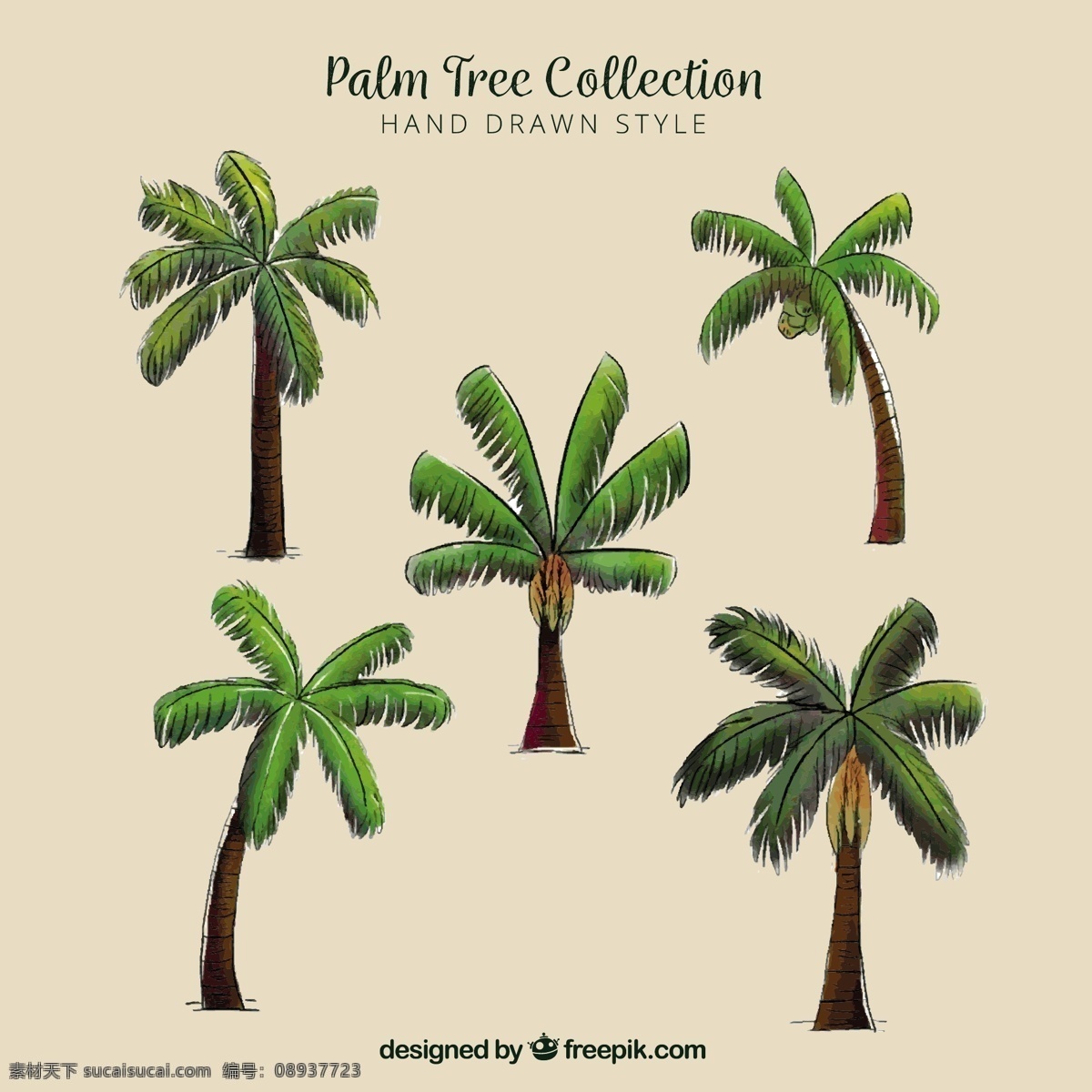 棕榈树的种类 树 手 夏 叶 自然 手绘 树叶 热带 植物 绘画 棕榈树 树木 环境 棕榈 棕榈叶 素描 天堂 树干