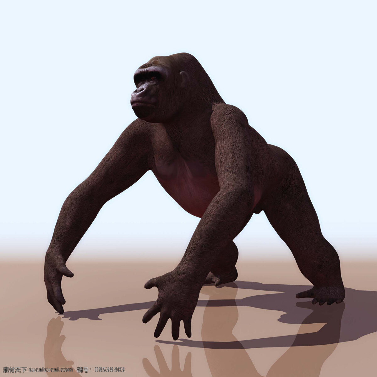 3d模型图库 动物类 大猩猩 3d作品 3d设计