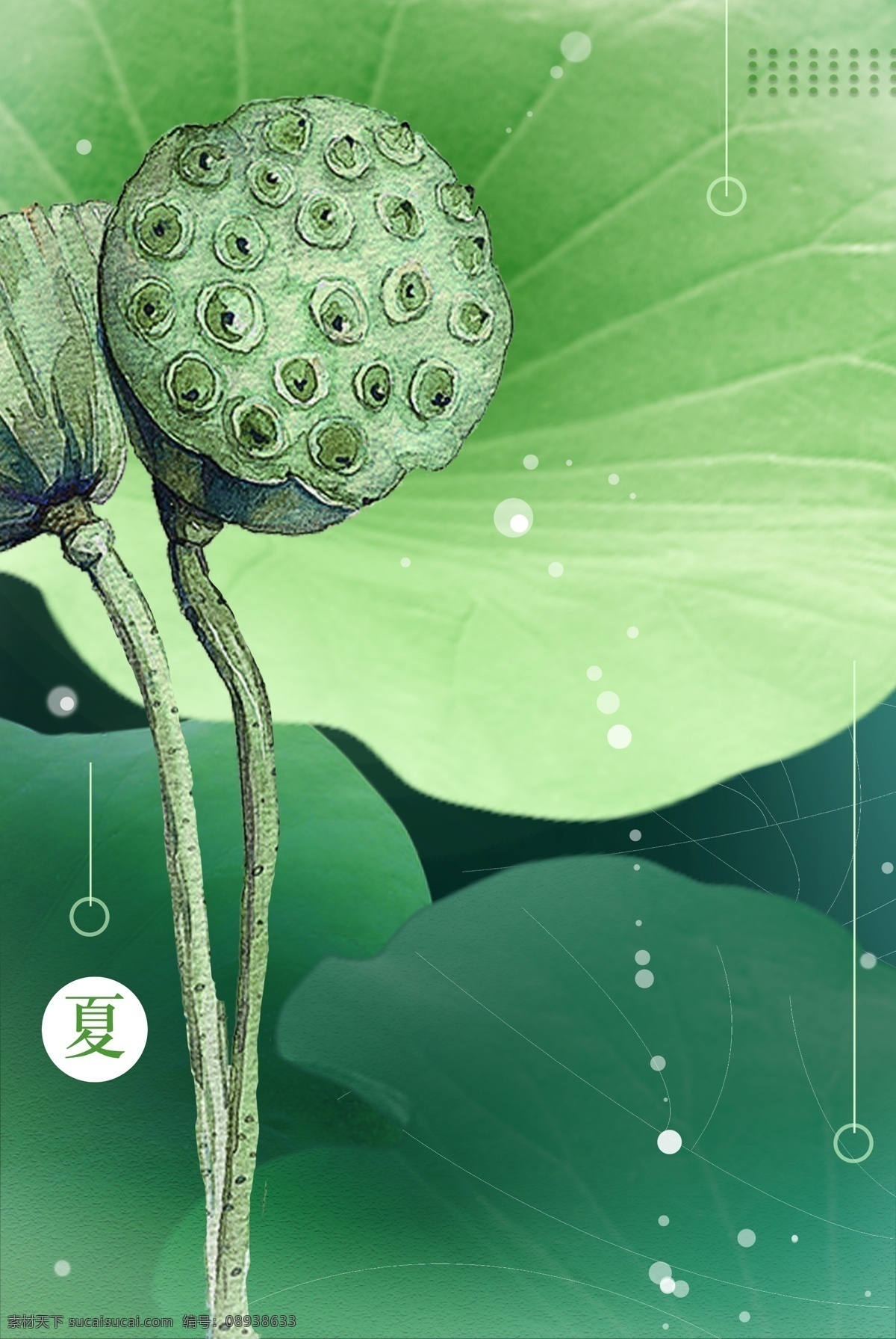 夏日 荷叶 清新 简约 海报 背景 绿色 扁平 水滴 莲蓬 质感 中国 环保