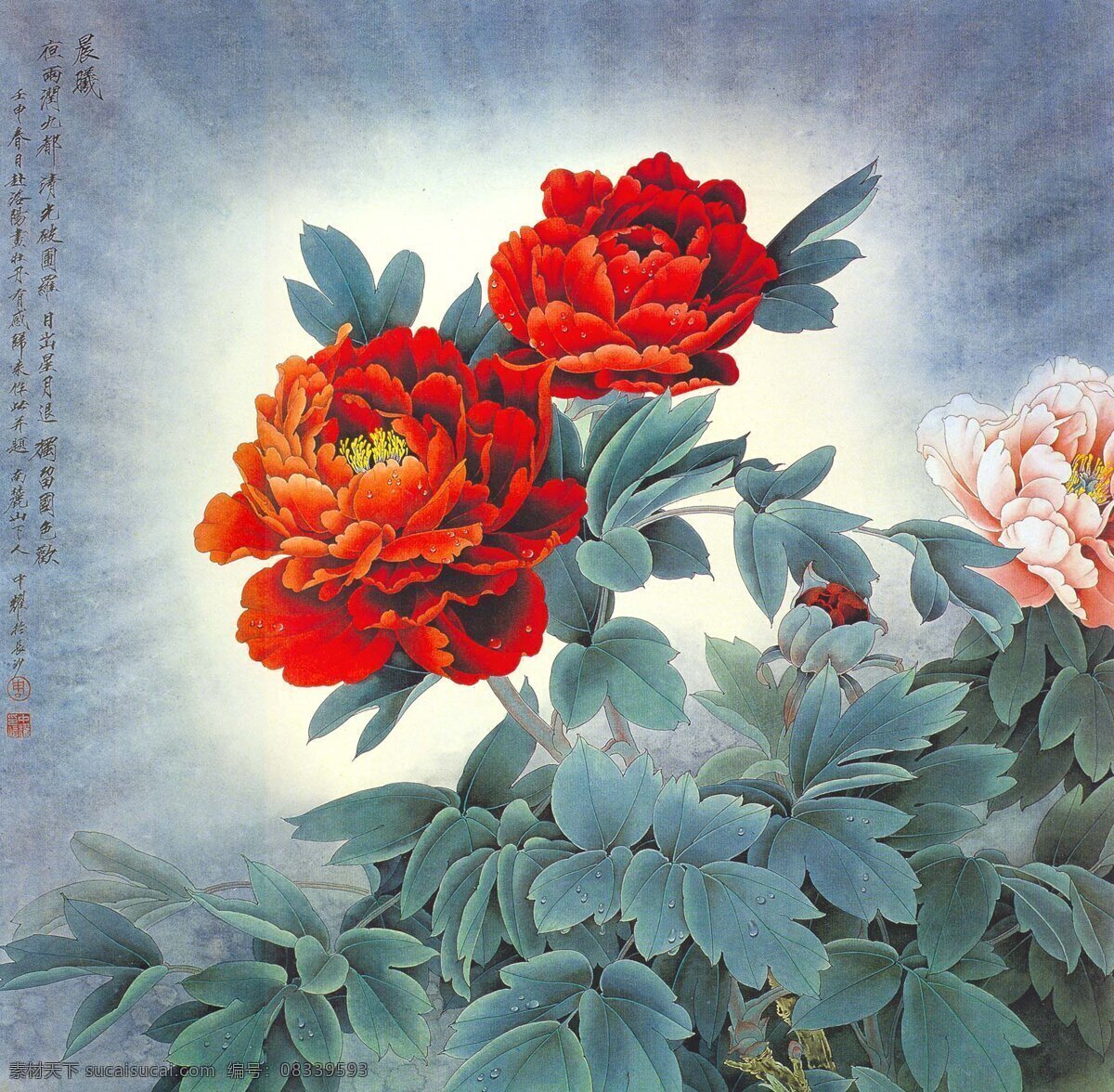 晨曦 周中耀 牡丹 工笔 花鸟 文化艺术 绘画书法 设计图库