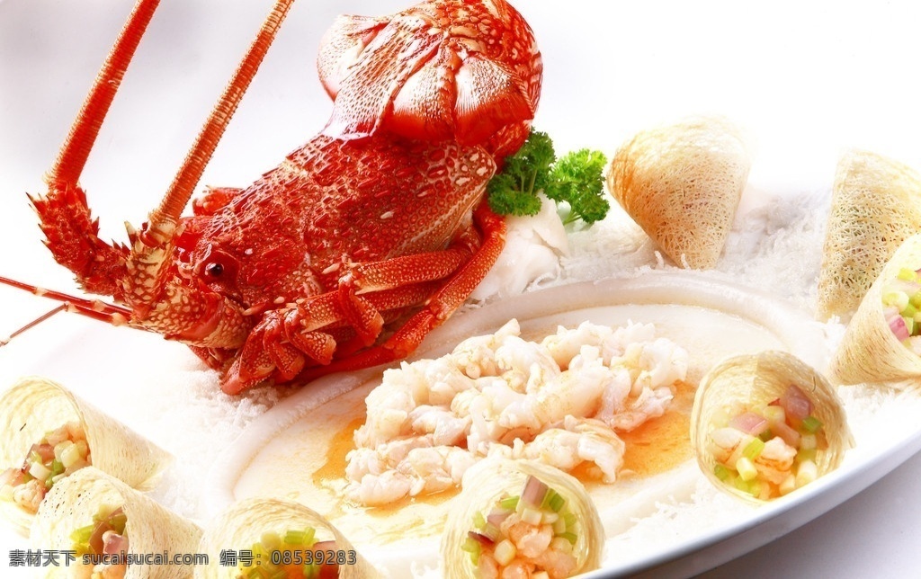 龙腾四海 美食 龙虾 大虾 饮食 特色菜 式 中国美食 美食文化 饮食文化 美食素材 传统美食 餐饮美 野生动物 生物世界