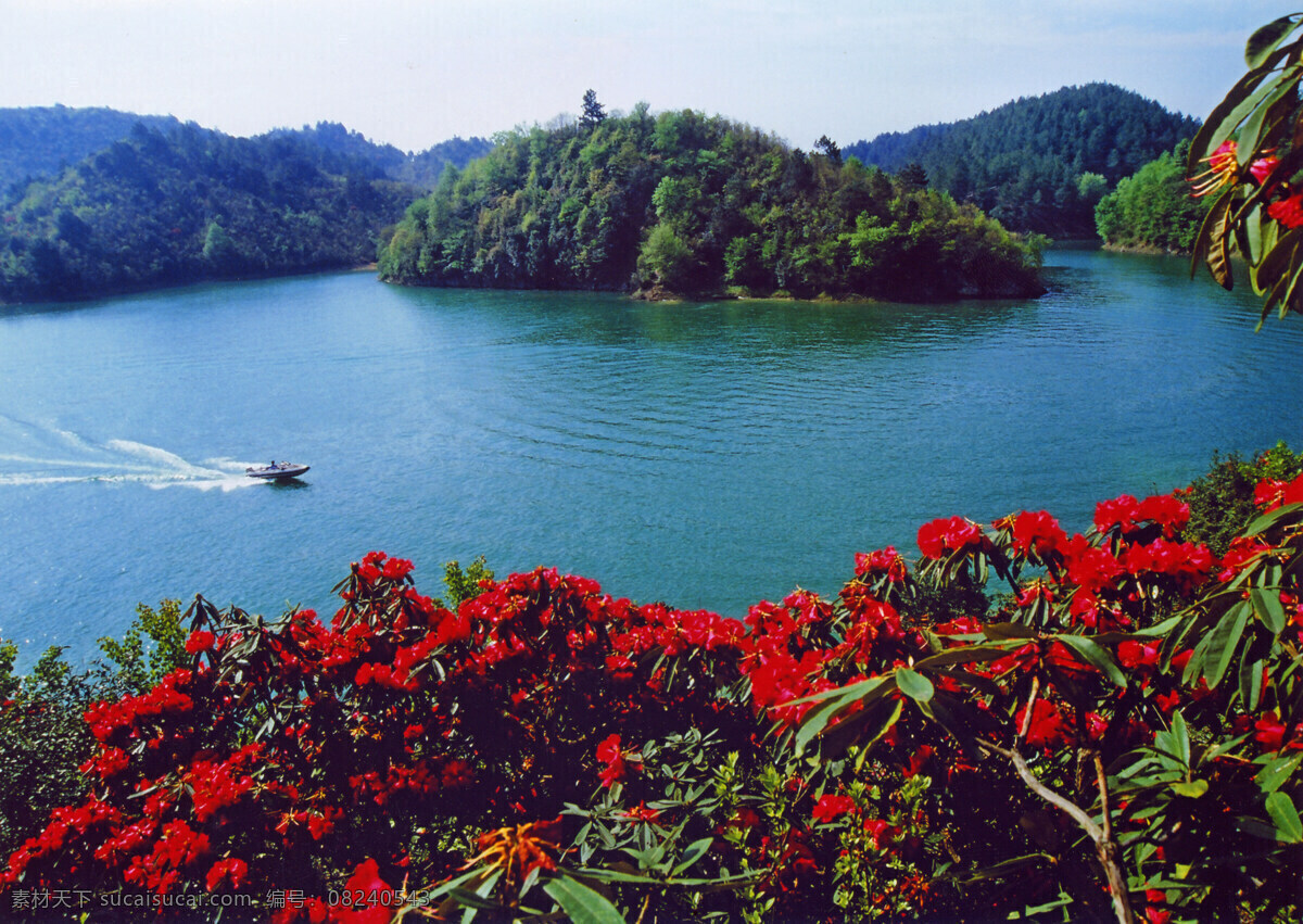 杜鹃免费下载 船 杜鹃花 人 山水风景 摄影图 自然景观 杜鹃树 家居装饰素材 山水风景画