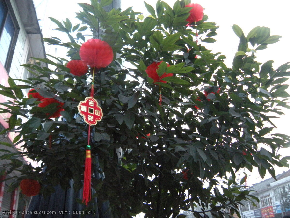 灯笼 过年 节日庆祝 树 文化艺术 喜庆 小灯笼 纸灯笼 节日素材 2015 新年 元旦 春节 元宵