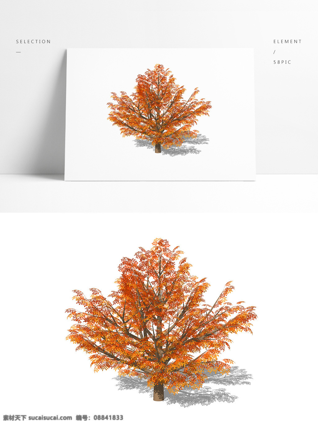 颗 秋景 树 精致 su 模型 乔木