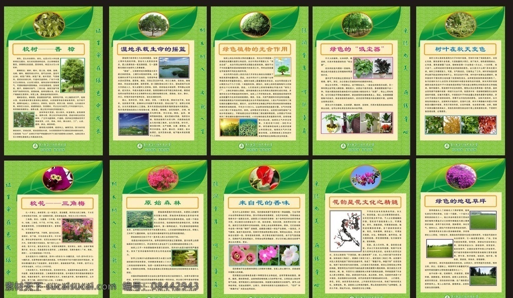 绿色百科园 绿色 花 百科园 植物百科 环境保护 环保 香樟 湿地 光合作用 绿色的吸尘器 树叶变色 树叶变黄 三角梅 原始森林 来自花的香味 花韵 花文化 草坪 校园文化