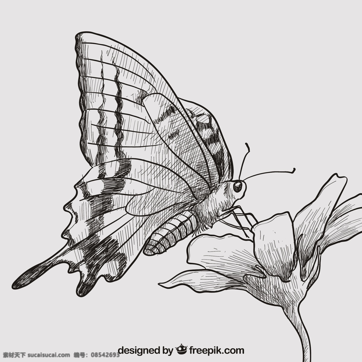 手绘 蝴蝶 鲜花 自然 动物 绘制 翅膀 绘画 手工 昆虫 抽纱 飞行 图标 高清 源文件