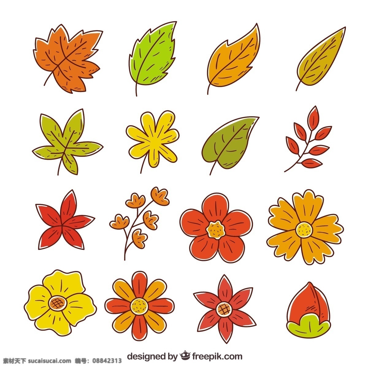 秋天 树叶 收集 手 叶 自然 手绘 涂鸦 素描 色彩 温暖 树枝 秋叶 季节 画 包装 粗略