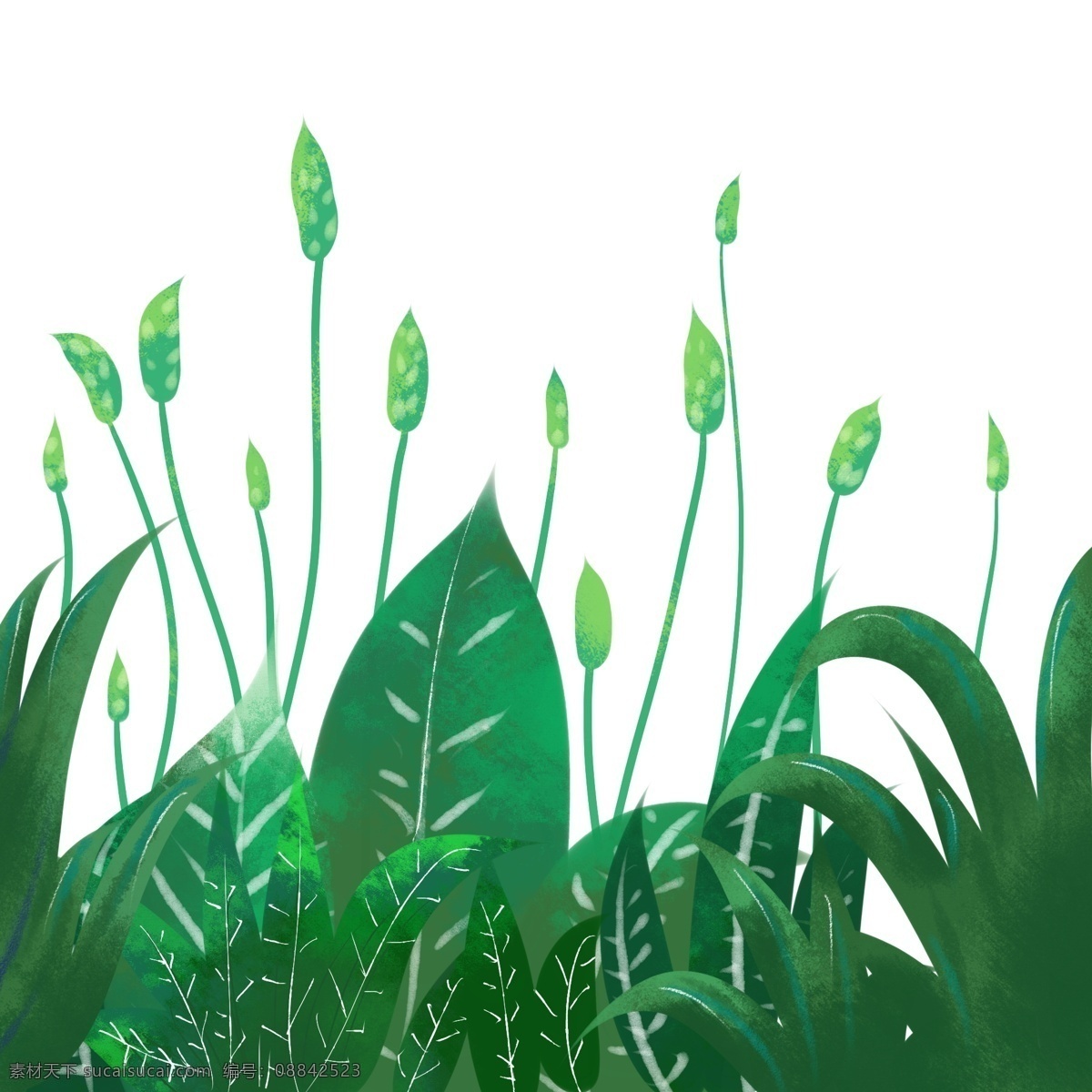 植物 绿色 手绘 小草 草 叶子
