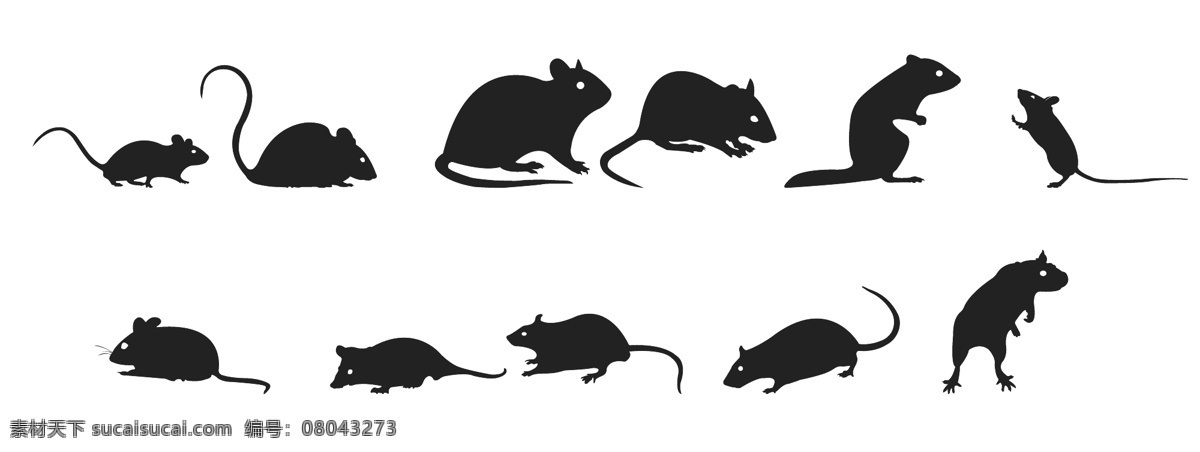 老鼠剪影 鼠 小老鼠 鼠子 黑 鼠宝宝 可爱动物 黑白剪影 动物图形 动物世界 卡通动物 生物世界 黑白手绘图