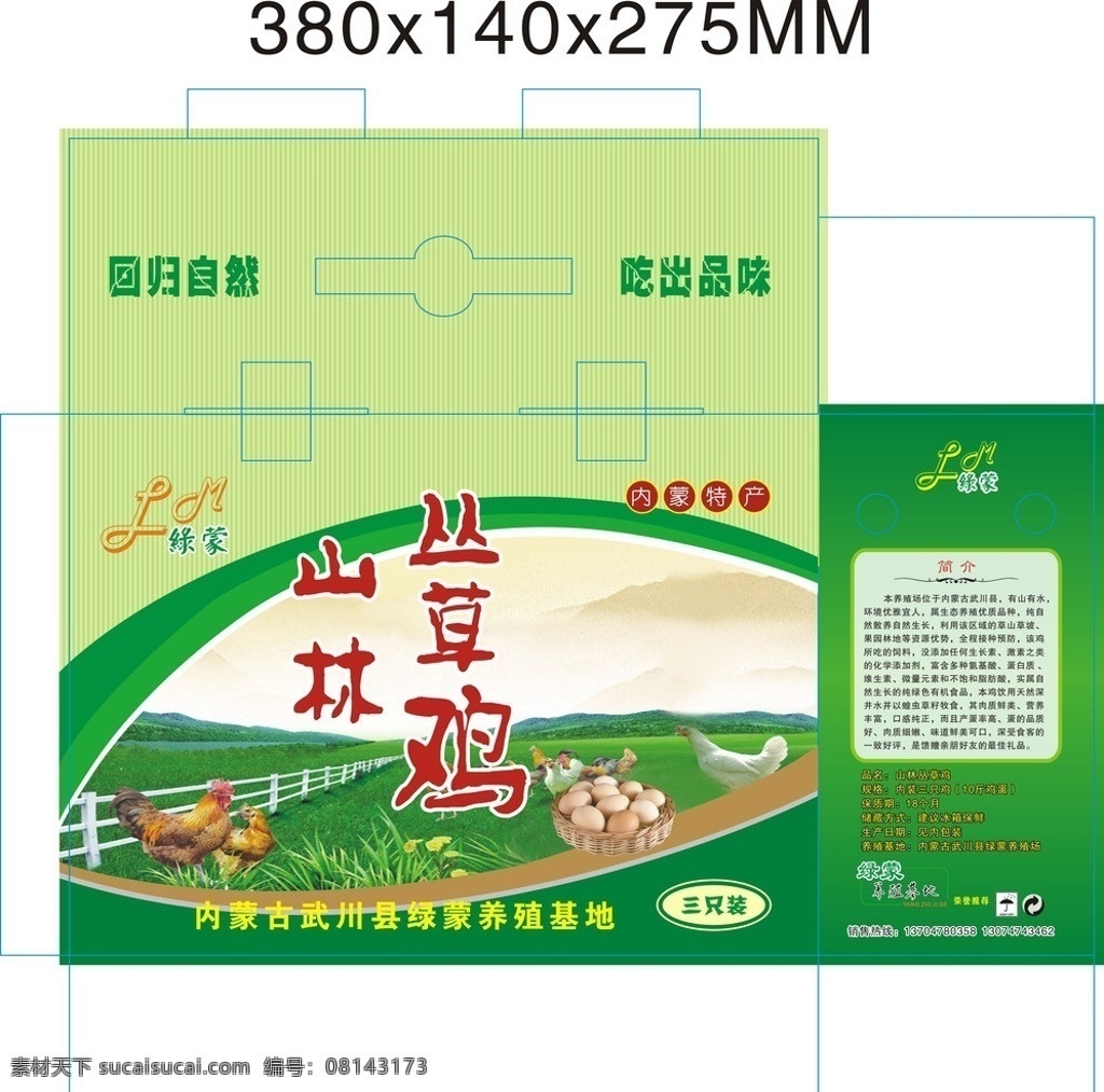 绿蒙鸡箱 包装设计 矢量