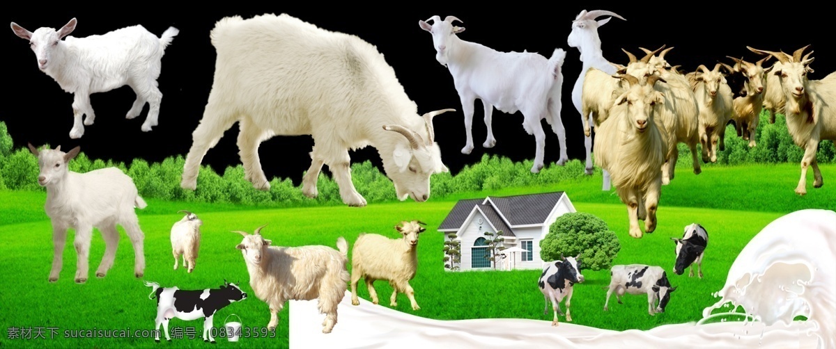 牛羊 牛 羊 草原 草坪 草 山羊 奶牛 蒙牛 牛奶 奶捅 房子 大树 分层 源文件