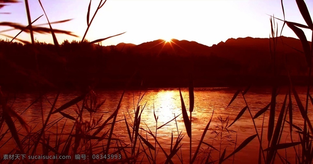 河边日出 小河边 日出 延时摄影 早晨 滹沱河 水草 晨雾 河水流淌 清晨太阳 摄影素材 多媒体 实拍视频 自然风光 mp4