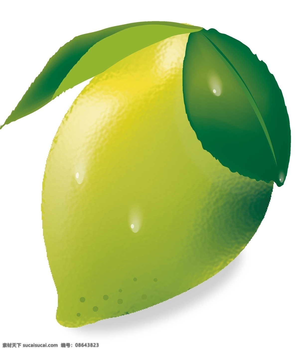 柠檬 餐饮美食 生活百科 生物世界 矢量图库 水滴 水果 柠檬矢量素材 柠檬模板下载 柠檬叶 矢量 日常生活