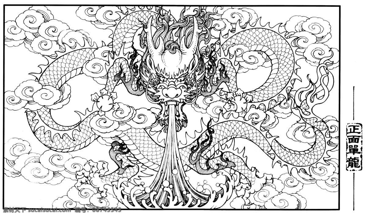 单龙正面