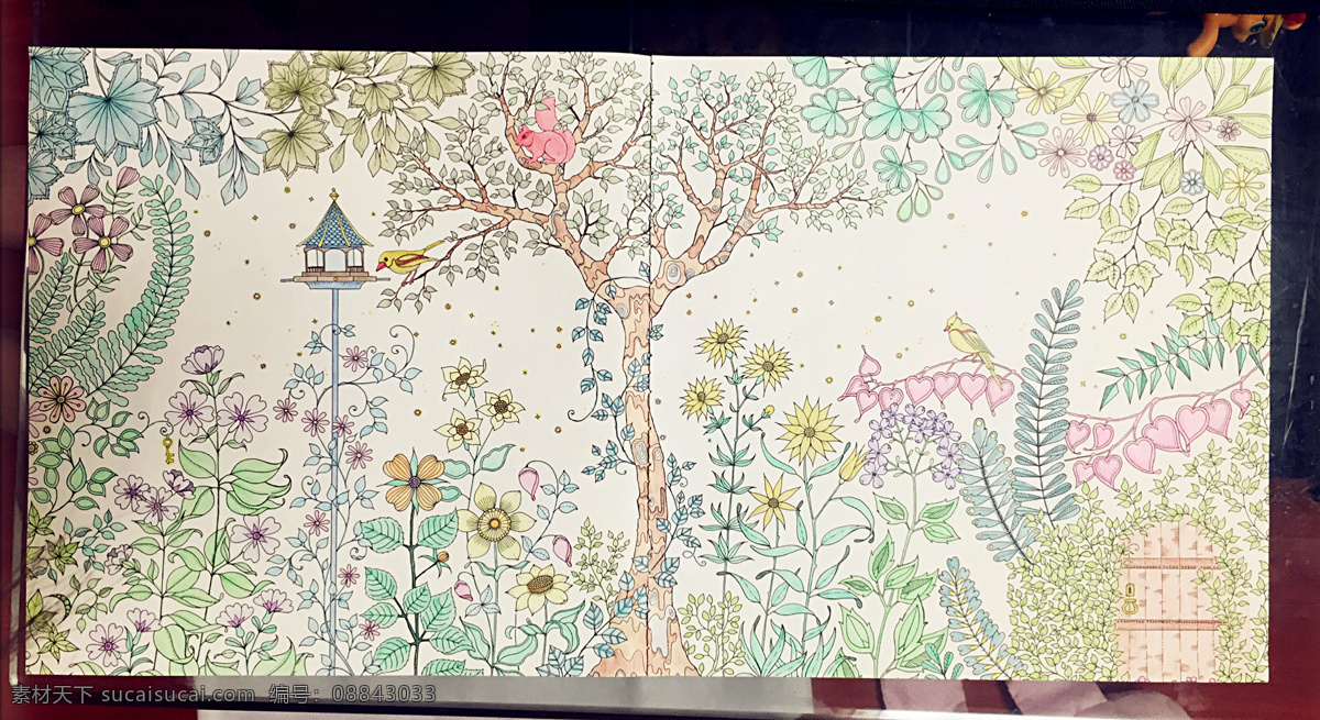 秘密花园填色 秘密花园 填色 彩铅 淡雅 清新 文化艺术 绘画书法