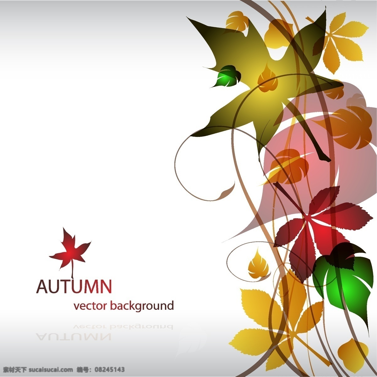 秋天 枫叶 主题 矢量 autumn 背景 叠加 秋天素材 秋叶 时尚 矢量素材 矢量图 花纹花边