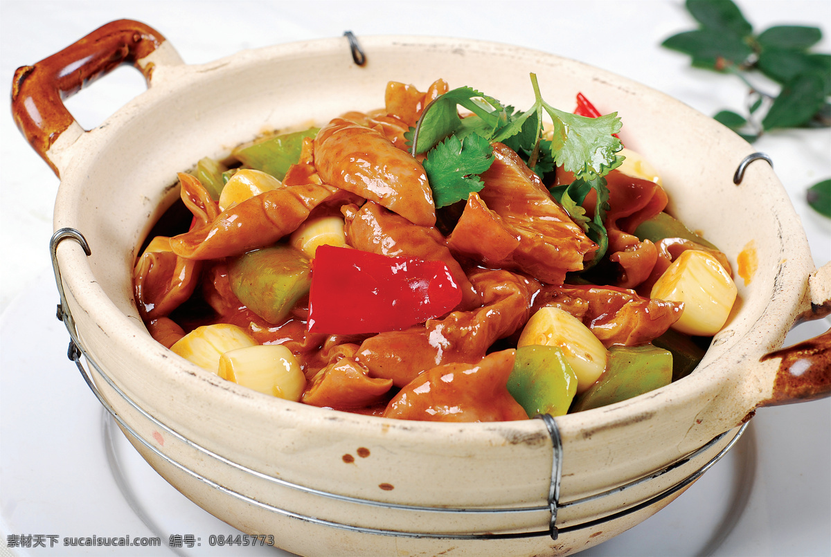 肥肠煲 美食 传统美食 餐饮美食 高清菜谱用图