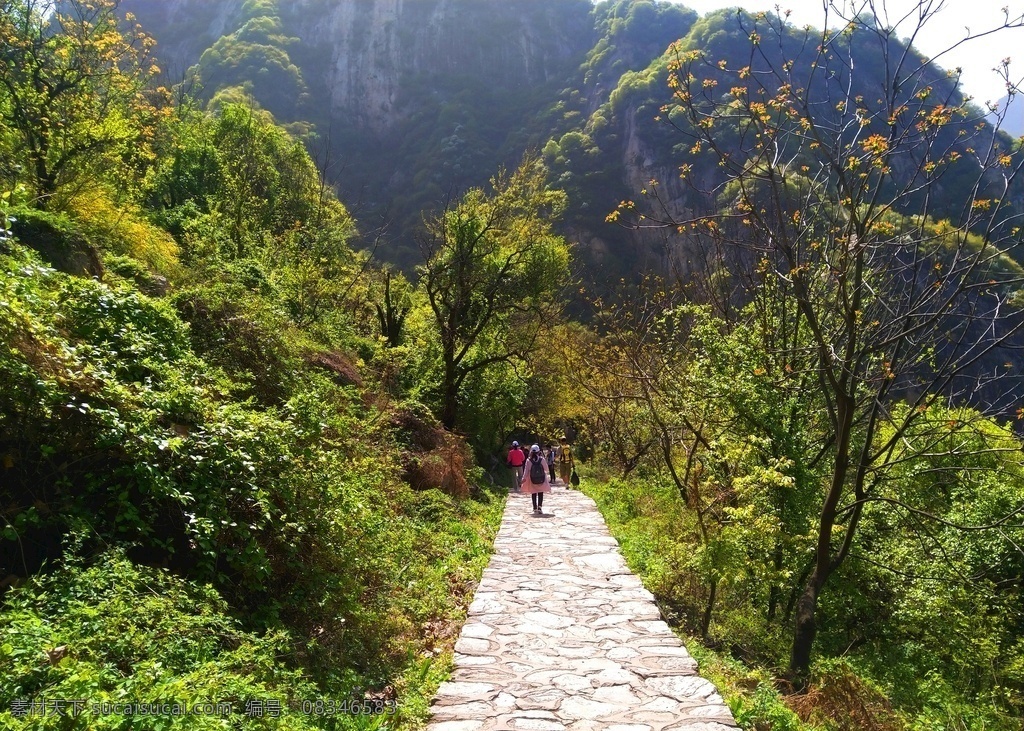 美丽 大山 风光 高山 壮丽 美景 蓝天 树木 道路 多娇江山 自然景观 自然风景