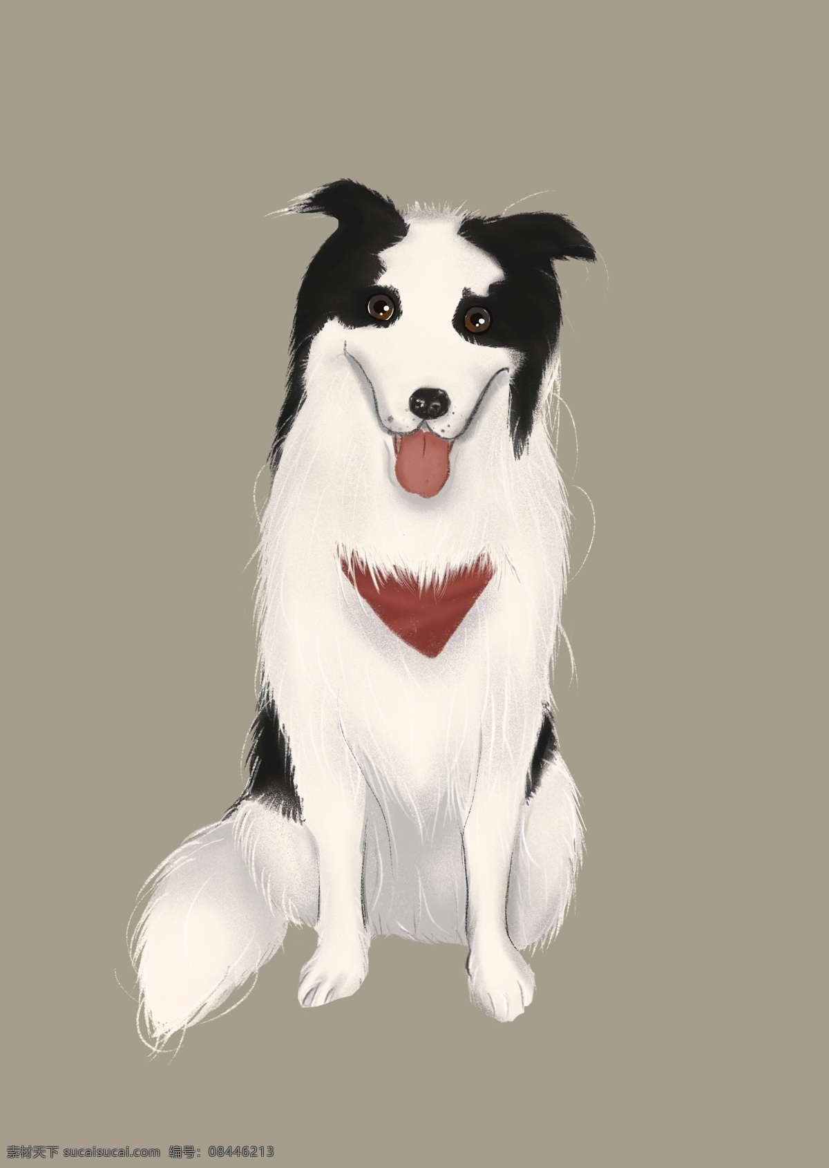 卡通 手绘 牧 狗 卡通狗狗 狗狗手绘 卡通边牧 卡通宠物 挂画 狗狗素材