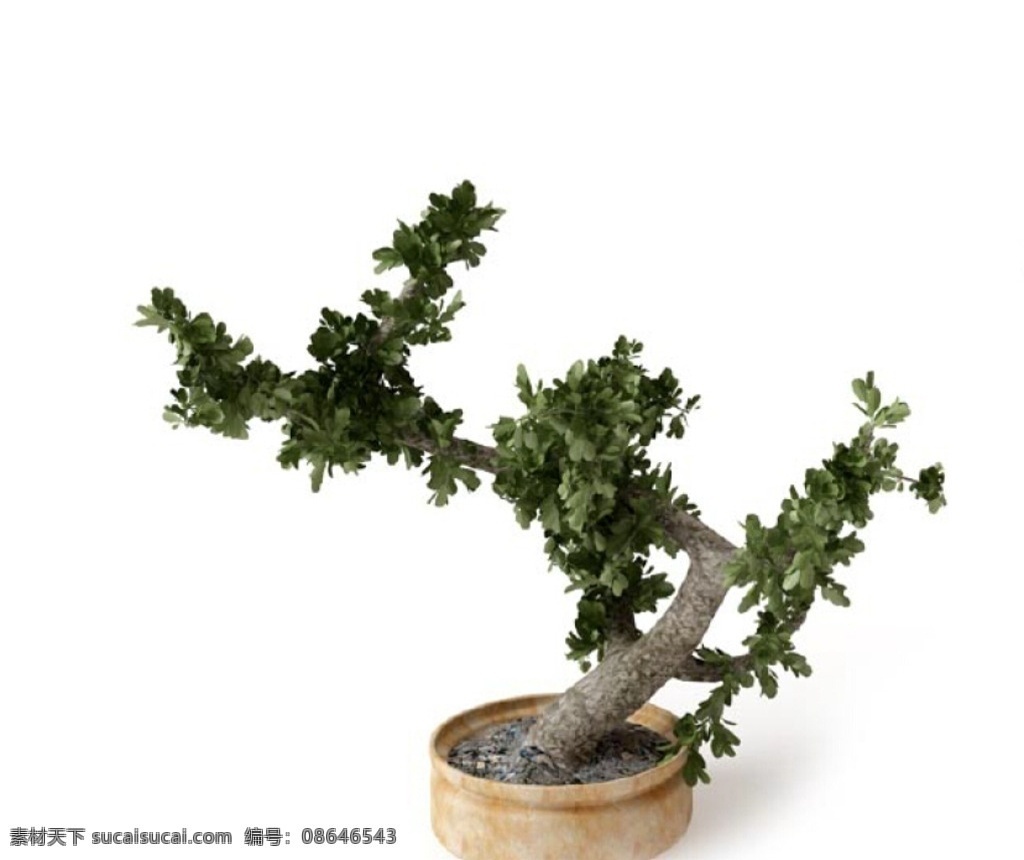 植物 植物模型 盆栽 花卉 花 树 花模型 叶子模型 室内植物 花盆 环艺设计 室内绿化 艺术花盆 绿化 灌木 绿化植物 花草 花卉模型 家装模型 室内模型 3d 装修模型 vray 3dmax 室内设计 家具模型 室内设计模型 3d设计模型 源文件 max 3d模型库 3d设计