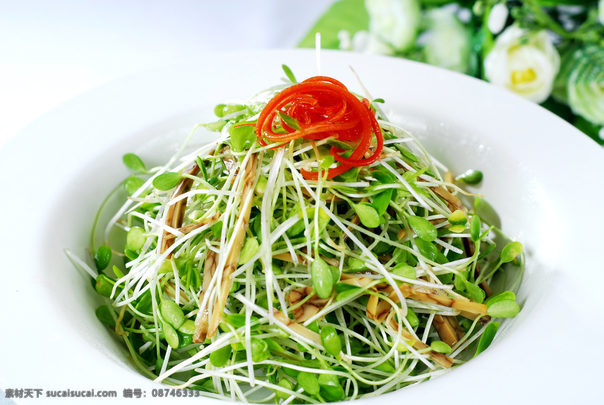 唇留齿香 豆芽 黄豆芽 绿豆芽 红辣椒 辣椒丝 清爽 可口 凉菜 凉拌 菜图 传统美食 餐饮美食