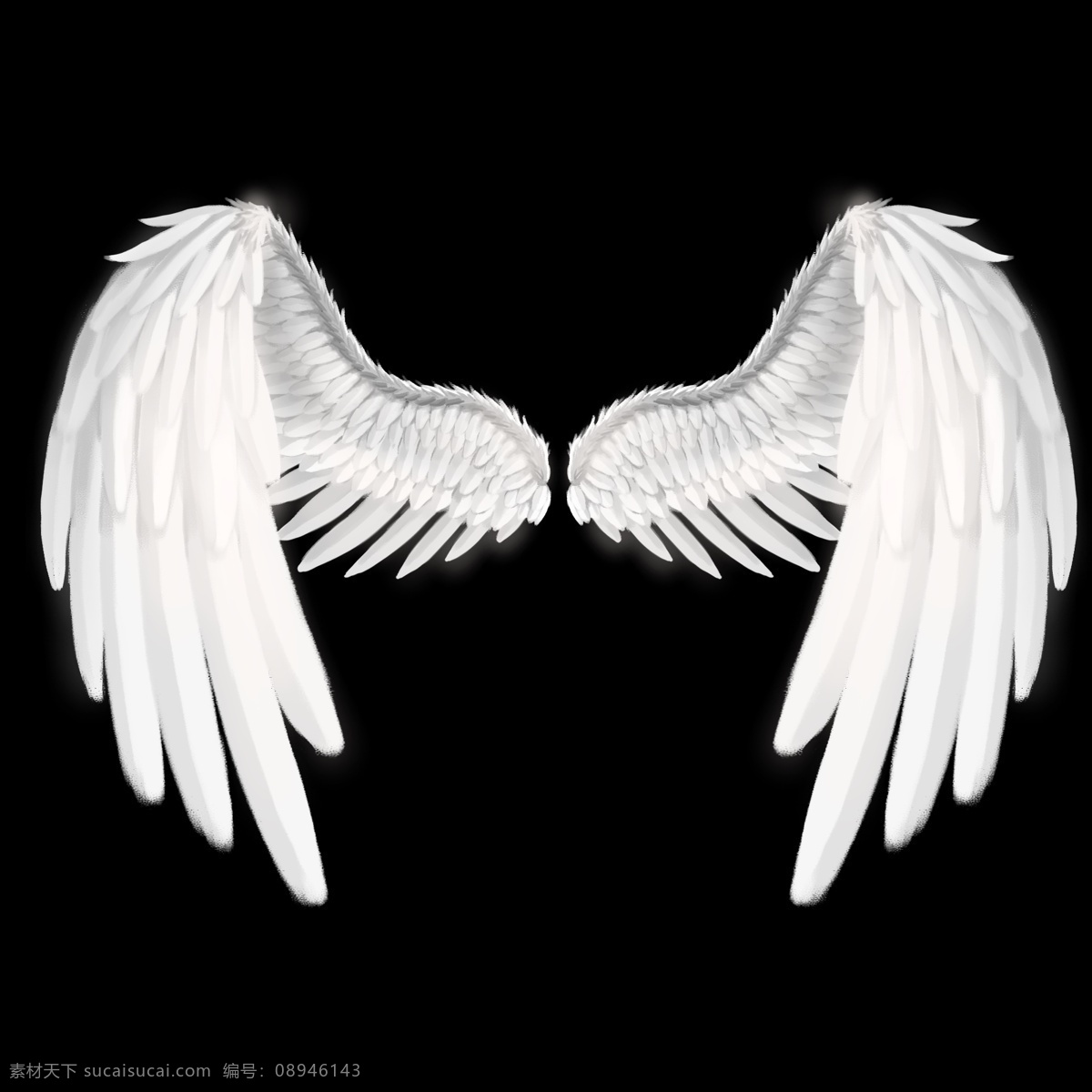 天使 唯美 白色 翅膀 天使翅膀 白色翅膀