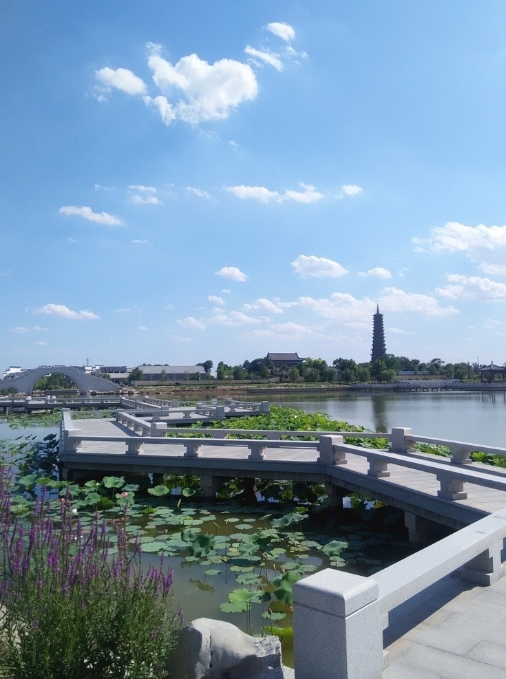 古城荷花湾 无棣 古城 荷花 荷花湾 大觉寺 蓝天 白云 湖水 自然景观 自然风景